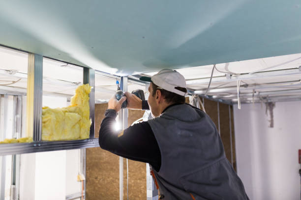 Best Commercial Insulation in Los Ranchos De Albuquerque, NM